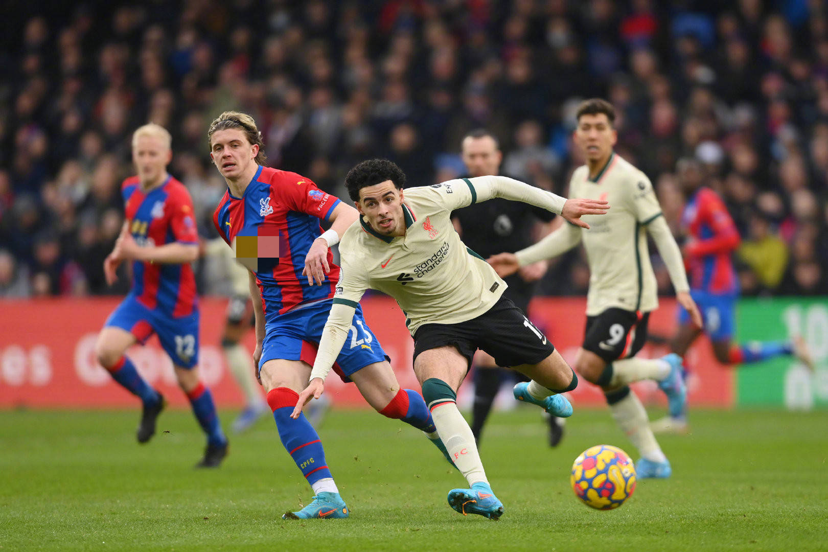 许多优秀的 许多优秀的